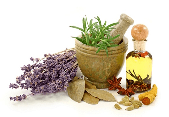 using herbs for breast augmentation